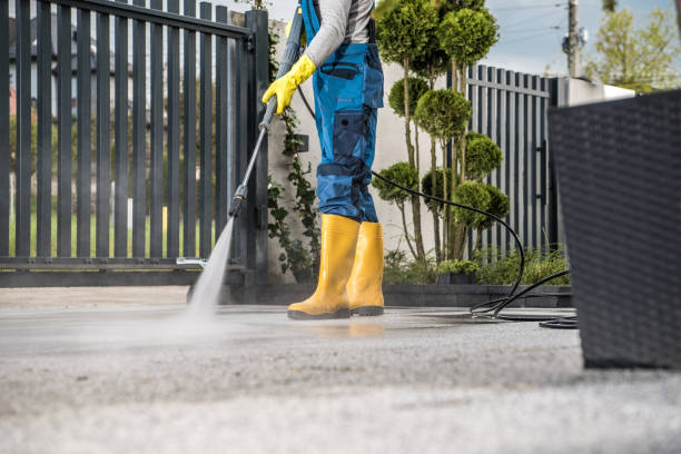 Best Graffiti Removal  in North Richmond, CA